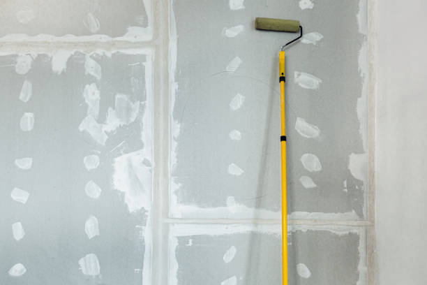  Canton, IL Mold Removal Pros