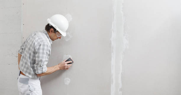 Best Mold Prevention Services  in Canton, IL