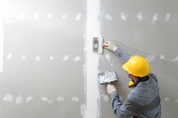 Best Environmental Consulting for Mold Prevention  in Canton, IL