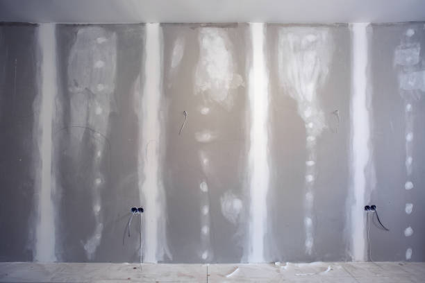 Best Dehumidification Services  in Canton, IL